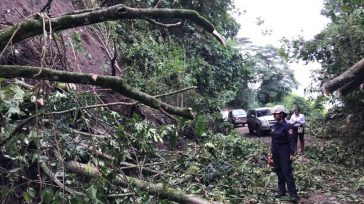 Carreteras y caminos se encuentran taponadas por la destrucción de la naturaleza.   Luis Eduardo Romero El comité departamental de riesgo declaró urgencia manifiesta para implementar el plan de acción […]