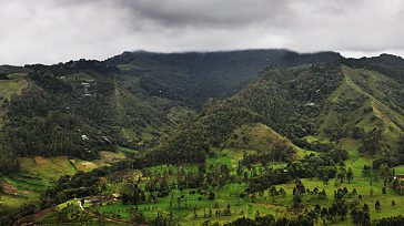 La película de Walt Disney, inspirada en Colombia recibió el premio a la Mejor cinta animada. Uno de los escenarios  de la película es el Valle del Cócora. 