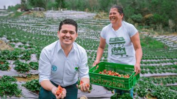 El desplazamiento interdepartamental de los jóvenes de la ruralidad colombiana es una realidad.       James Fuentes ¿Qué está pasando en Colombia con las nuevas generaciones de agricultores? Estudios […]