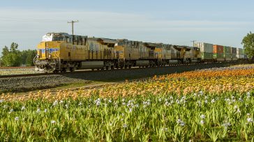 Tren de carga una solución al transporte bajando costos.    Gerney Ríos González El paso del tren suscita sentimientos de nostalgia. Ahora, con las carrileras abandonadas, embarga la morriña por […]