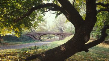 En su ultimo día de agenda en Nueva York, el presidente colombiano, Gustavo Petro visitó muy temprano el Central Park, en Manhattan el parque más visitado en los Estados Unidos.  […]