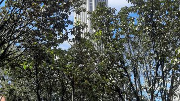 La emblemática torre de Colpatria, por muchos años fue el edificio más alto de Bogotá.    Gráficas  Primicia Diario   El Centro Internacional es uno de los sectores exclusivos de […]