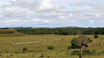 Los Llanos Orientales abarcan más de un cuarto del territorio colombiano.  