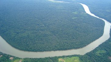 Amazonas el pulmón de la tierra   Gerney Ríos González Colombia es el líder global en luminosidad, el número uno en especies reconocidas de aves y orquídeas, el segundo más […]