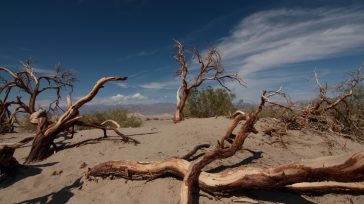 El valle de la Muerte es un valle desértico ubicado al sureste de California.. En verano es uno de los lugares más calurosos del mundo,  Se  encuentra en  el punto de elevación más baja […]