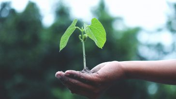 Sembrar pensamientos positivos o negativos, uno negativo es como la maleza que crece junto a los cultivos, que no necesita de cuidados, los positivos requieren de nuestro cuidado, de la […]