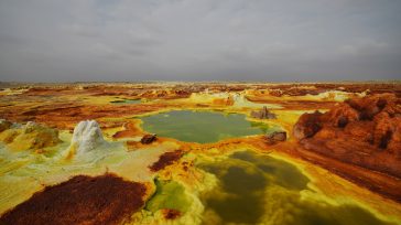 Este paisaje volcánico deprimido está plagado de fuentes calientes ácidas, lavas burbujeantes, arenas saladas y vapores tóxicos. Sin embargo, los microorganismos prosperan en las piscinas sulfúricas y las chimeneas minerales […]