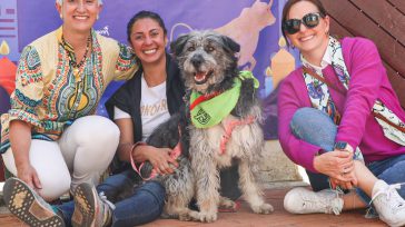 Familia feliz al adoptar un perro.     Patricia Parra B. Con rotundo éxito culminó la primera jornada de adopción de animales de compañía (perros y gatos) organizada por la […]