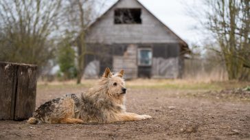 Casa antigua     Mauricio Salgado Nadie iba al cuarto de la vieja casa, los papás decían que no molestaran al abuelo, pero más que eso era no hablen con […]