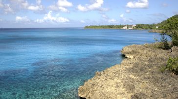 La región insular de Colombia comprende el conjunto de las islas, cayos e islotes continentales y aquellos alejadas de las costas, como son el Archipiélago de San Andrés y Providencia en el […]