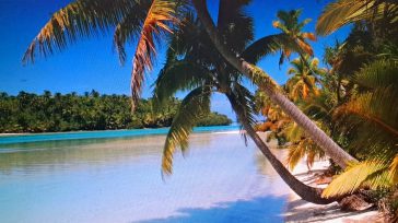 Aitutaki es un anillo de tierra y coral que envuelve una enorme laguna en mitad del océano Pacífico, en las islas Cook. Es un autentico sueño polinesio. 