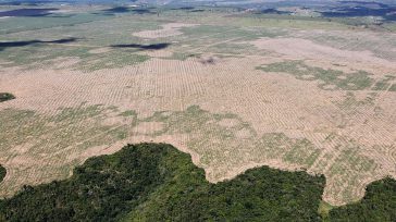 La deforestación en la amazonia avanza en forma acelerada para plantar coca.        En los últimos 20 años en Colombia se han deforestado más de 3 millones cien […]