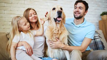Los perros en muchos hogares hacen parte del núcleo familiar.        La Corte Suprema de Justicia negó una demanda presentada por una ciudadana  que alegaba la necesidad de quedarse […]