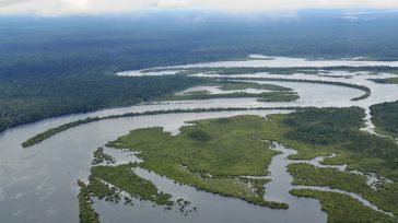 La selva tropical más grande del mundo. Cubre el 40% del continente sudamericano y se puede encontrar en los siguientes países: Perú, Ecuador, Colombia, Venezuela, Brasil, Bolivia, Guyana, Surinam, así […]