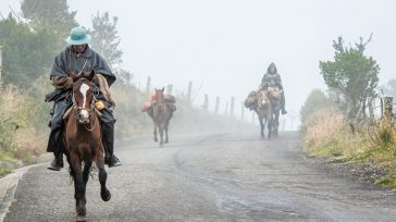 La gente del paramo más grande del mundo Sumapaz se moviliza de manera segura y en paz.       La alcaldesa de Bogotá,  Claudia López realizó un recorrido por varios […]