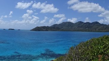 La Isla de Providencia, con sus colores infinitos en la superficie, los paisajes submarinos llenos de vida y manglares que tiñen de verde se convierten en el hogar de diminutos peces […]