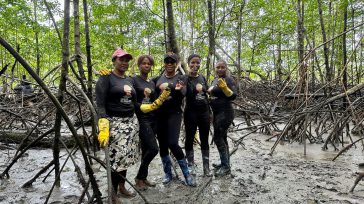 Mujeres Piangüeras del Pacifico colombiano Colombia cuenta con 267,835 hectáreas de manglares, de las cuales el 70% se encuentra en el Litoral Pacífico. Este ecosistema juega un papel vital para […]