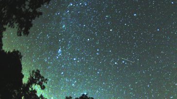 Lluvia de estrellas Cada año, los amantes del cielo esperan con emoción la lluvia de meteoros de agosto. Su singular brillo la hacen un espectáculo imperdible. Así podrás ver las […]