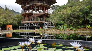 Jardín Botánico de Cali.      Gustavo Álvarez Gardeazábal El Porce La vida me dio el privilegio en mi ya remota juventud universitaria de tener como maestros adlátere en materia […]