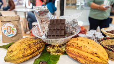Cacao y chocolate Del 24 al 26 de noviembre, Corferias y Fedecacao endulzarán, llenarán de sabores y de diversión los pabellones del recinto ferial por cuenta de la feria Chocoshow, […]