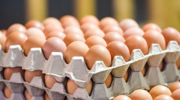 La baja del precio del huevo Los precios del huevo van camino a los $600 por unidad, y a pesar de que el dólar registra un fuerte desplome, en los supermercados los […]