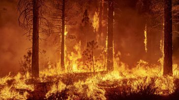 Incendio forestal       Hernán Alejandro Olano García La situación de desastre nacional en Colombia se ha desencadenado como resultado de la intensificación del Fenómeno El Niño, según lo […]