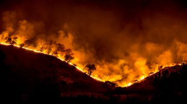 Una emergencia sin precedentes de vive en Colombia. Las autoridades registran 237 incendios forestales en Colombia. Los incendios más graves se registran en el departamento de Santander.   