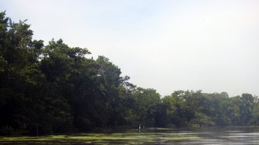 Entre 1996 y 1998 la Ciénaga Grande de Santa Marta fue declarada como sitio Ramsar (humedal de importancia internacional). Foto: David Alejandro Sánchez, doctor en Biología Marina y docente de […]