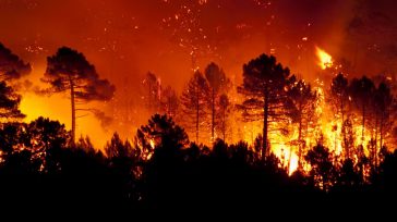 Incendio forestal    31 incendios forestales se encuentran activos en Colombia.  Tolima, Cauca y Nariño, son los departamentos más afectados  donde las altas temperaturas y la sequía han propiciado la propagación […]