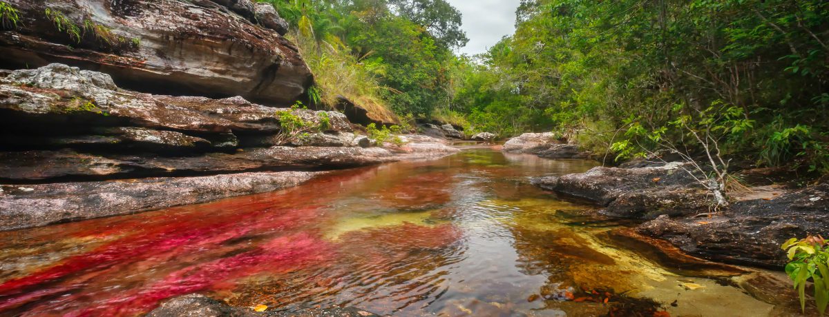 Uno de los ríos más hermosos del mundo, está ubicado en La Macarena, Meta y se llama Caño Cristales. Ha sido denominado «el río de los dioses», «el río de […]