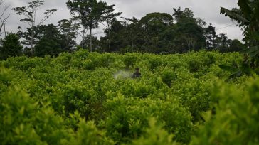 «Creo que el llamado del presidente Petro a una reflexión sobre el combate al narcotráfico y en relación con la droga, sobre la eficacia de unos mecanismos que tenemos, es […]