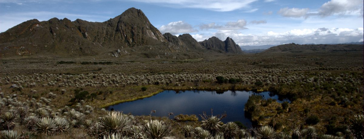 Páramo de Sumapaz     Unal Los páramos son ecosistemas de montaña que se desarrollan por encima de los bosques andinos, a alturas que pueden superar los 3.000 msnm; por su […]