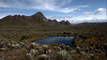 Páramo de Sumapaz     Unal Los páramos son ecosistemas de montaña que se desarrollan por encima de los bosques andinos, a alturas que pueden superar los 3.000 msnm; por su […]