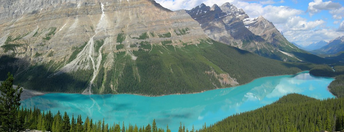 El lago Peyto, que obtiene su impresionante color del agua del glaciar que lo alimenta. «Es un destino turístico popular para los turistas que también quieren explorar la zona montañosa […]