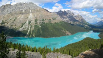 El lago Peyto, que obtiene su impresionante color del agua del glaciar que lo alimenta. «Es un destino turístico popular para los turistas que también quieren explorar la zona montañosa […]