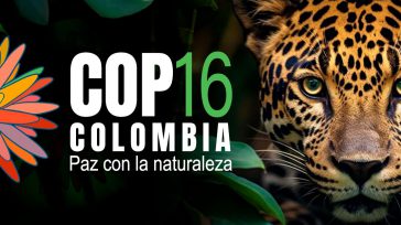 Hoy se inicia en Cali el encuentro ambietal más importante del mundo      «La COP 16 de la biodiversidad tiene tanta importancia mundial que solo la delegación china llega […]