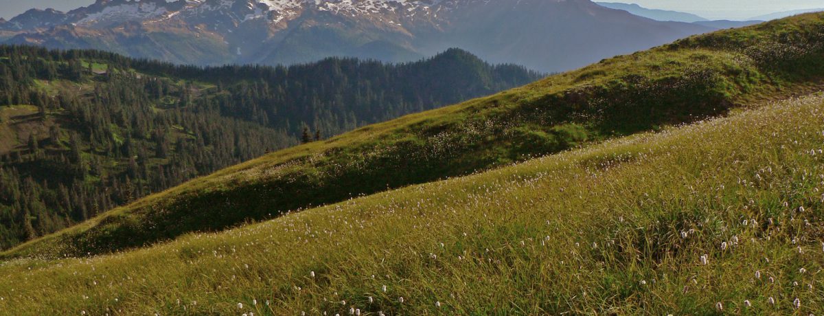 La cordillera de las Cascadas  es una gran cadema montañosa cadena montañosa frente a la costa del Pacífico de América del Norte