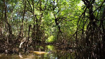 Turbo  Grupo Argos lanzó el proyecto Juntos por Urabá, una intervención integral para mejorar la calidad de vida de 12 mil personas que habitan en el corregimiento Nueva Colonia, en […]