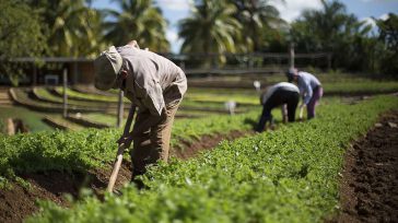 Agricultores  Gustavo Álvarez Gardeazábal El Porce   La historia nos enseña que si hay una forma de empobrecerse, basta ejercer como trabajador de la tierra. Automáticamente al convertirse en campesino […]
