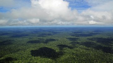La selva del Amazonas es el bosque más grande del mundo, cubriendo más de 6,7 millones de kilómetros cuadrados.