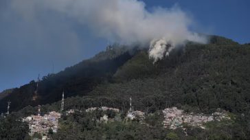 Cerro El Cable afectado por un incendio forestal &nbsp; &nbsp; &nbsp; La restauración ecológica del cerro El Cable, que sufrió graves afectaciones en los incendios forestales de 2024, es una [&hellip;]