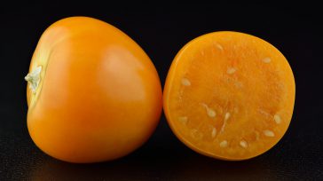 Uchuvas &nbsp; &nbsp; &nbsp; &nbsp; La venta de uchuva ha experimentado un crecimiento sostenido en el mercado internacional, hasta ubicarse entre las cinco frutas más exportadas por Colombia. Cundinamarca lidera [&hellip;]