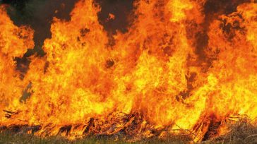 Se incendia la casa y la manguera es corta Esteban Jaramillo Osorio Se incendia la casa y la manguera es corta. El partido en directo no lo vi. En simultáneo […]