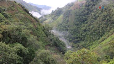 Cañón del Micay donde se libra una intensa guerra.  &nbsp; &nbsp; Javier Sánchez  En el departamento suroccidental del Cauca, en Colombia, están los municipios de El Tambo y Argelia, que confluyen [&hellip;]