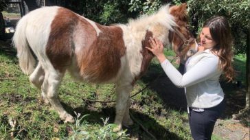 La integración del cuidado animal en la educación contribuye en la formación de ciudadanos más compasivos y estudiantes con excelente rendimiento académico y autoestima. &nbsp; &nbsp; La Fundación Kukur Tihar, [&hellip;]