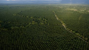 El gobierno Petro avanza en su ambiciosa reforma agraria, alcanzando 600 mil hectáreas entregadas y con la meta de 3 millones. En un hito reciente, 3.000 campesinos del Cesar recibieron [&hellip;]