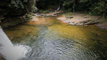 En la apartada región del Putumayo, una ruta corta, sencilla y bien demarcada en medio de la selva. Transcurre siguiendo el curso del agua entre hermosos pozos y cascadas menores [&hellip;]