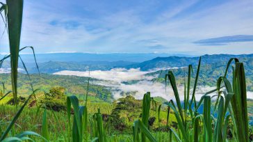 «El turismo sostenible se construye con conciencia, compromiso y conexión con el territorio»     Primicia Diario Cundinamarca Con la premisa de que el turismo sostenible no solo se conceptualiza, […]