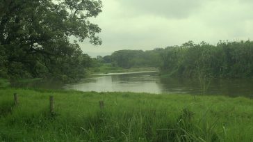 El río Cauca a su paso por La Virginia, Risaralda