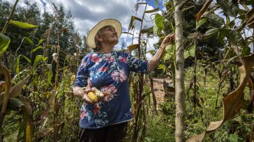 El compromiso de la ANT con el cierre de brechas y el acceso a la tierra para las mujeres se replica en otras regiones del país. &nbsp; Tocaima, Cundinamarca En [&hellip;]